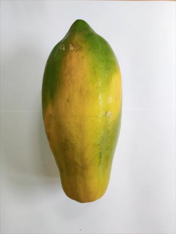 生產者圖片