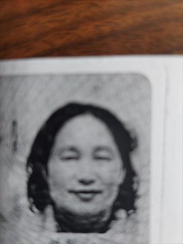 生產者圖片