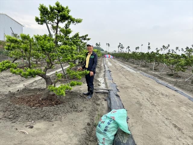 生產者圖片
