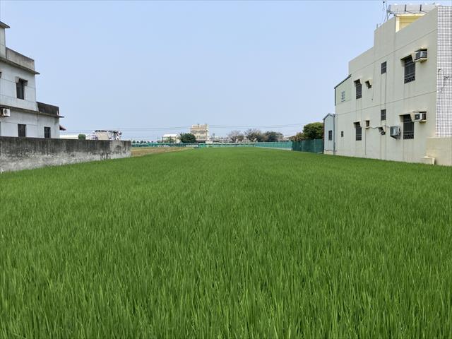 生產者圖片