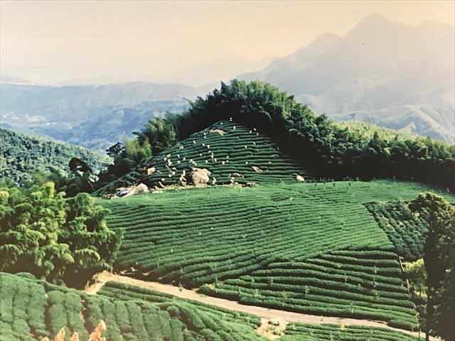 生產者圖片
