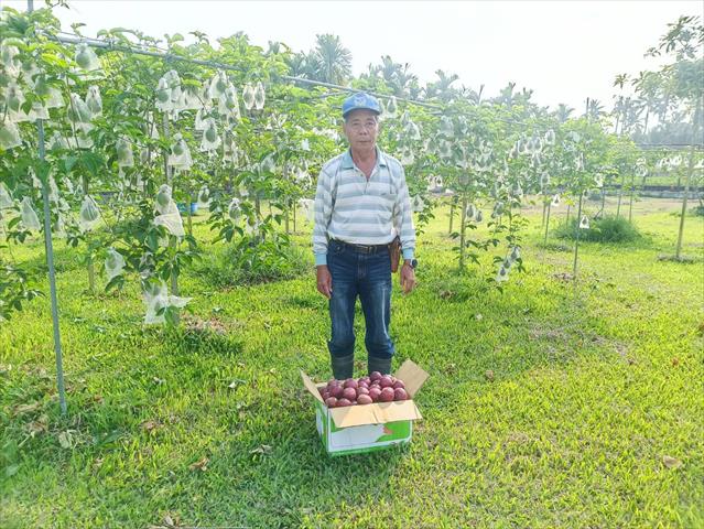 生產者圖片