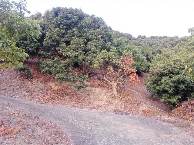生產者圖片