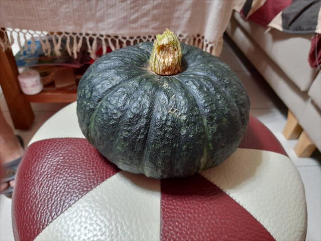 生產者圖片