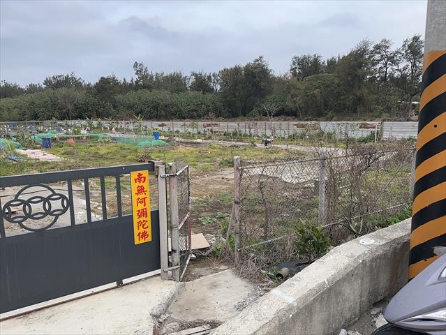 生產者圖片