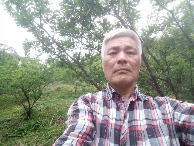 生產者圖片