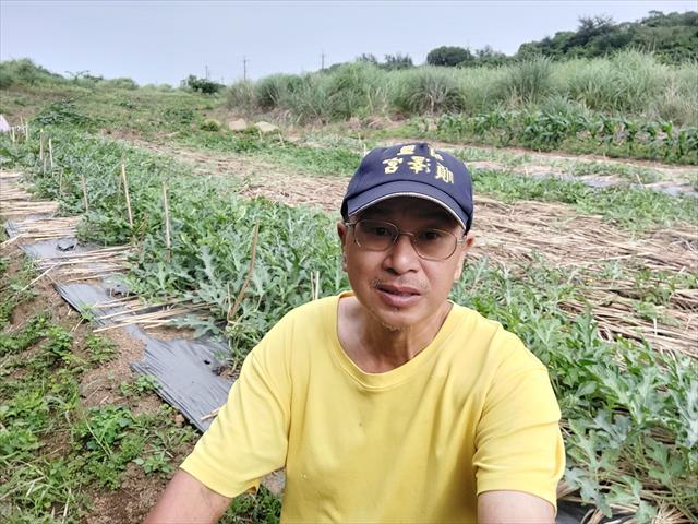 生產者圖片