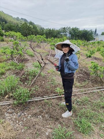 生產者圖片