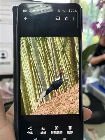 生產者圖片