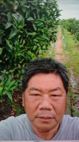 生產者圖片
