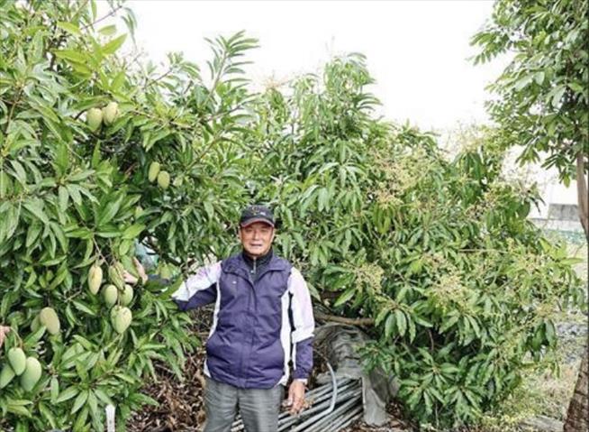 生產者圖片