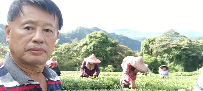 生產者圖片