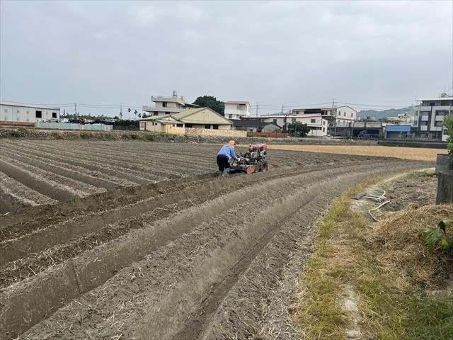 生產者圖片