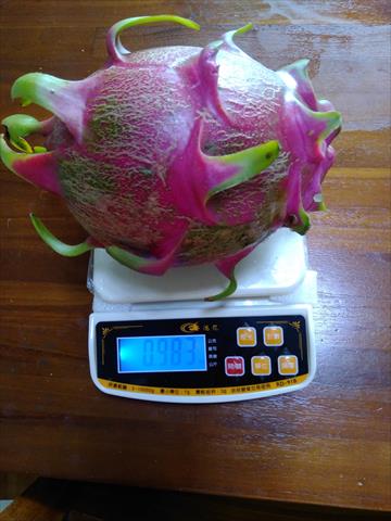 生產者圖片