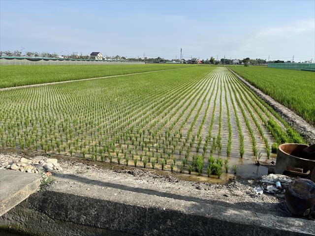 生產者圖片