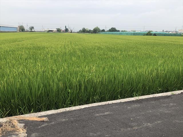 生產者圖片