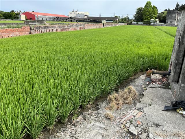 生產者圖片