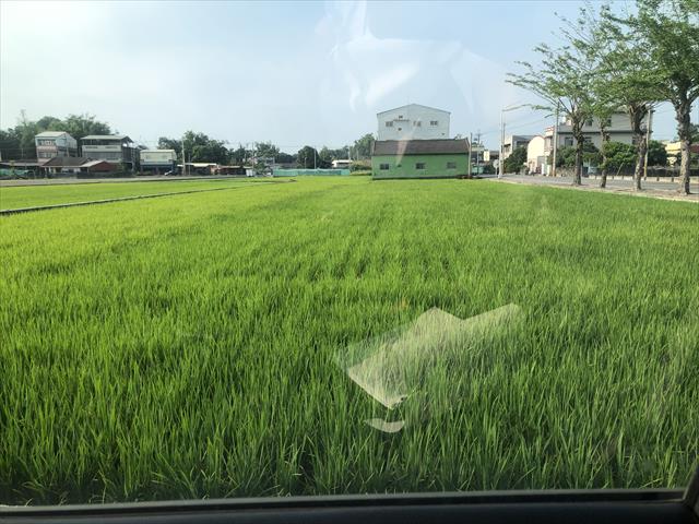 生產者圖片