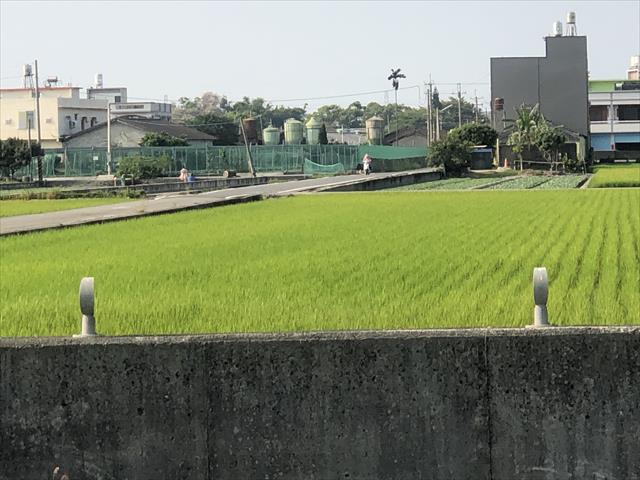生產者圖片