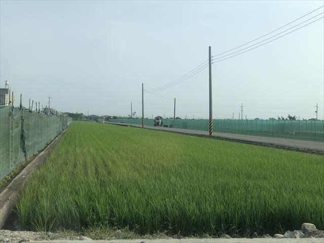 生產者圖片