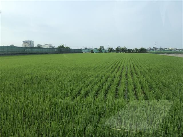 生產者圖片