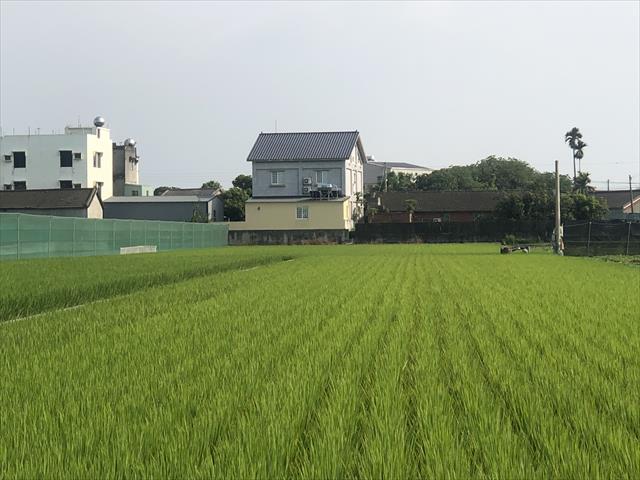 生產者圖片