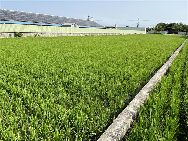 生產者圖片