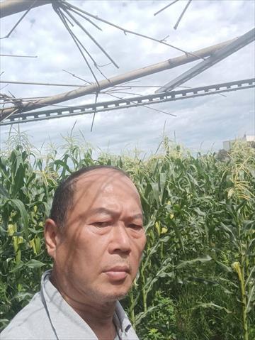 生產者圖片