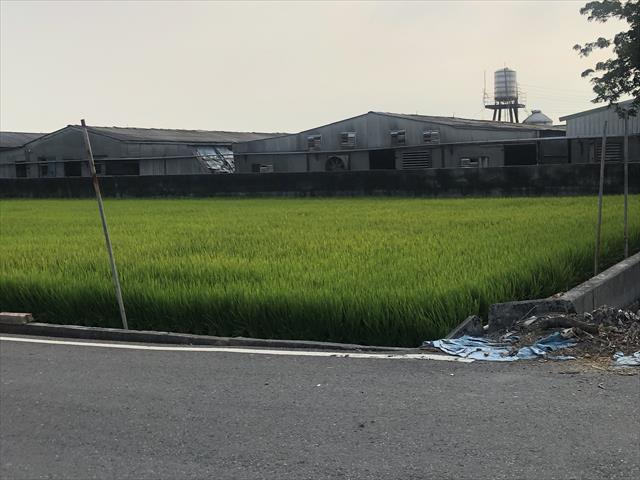 生產者圖片