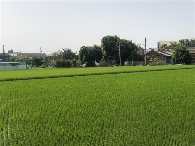 生產者圖片