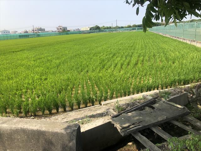 生產者圖片