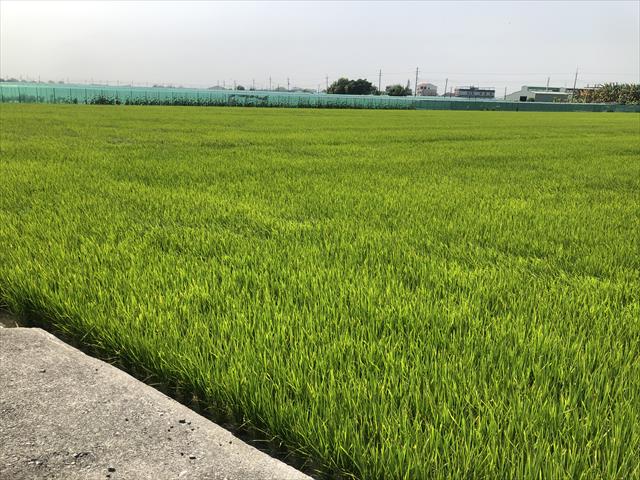 生產者圖片