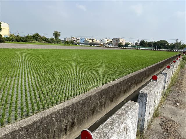 生產者圖片