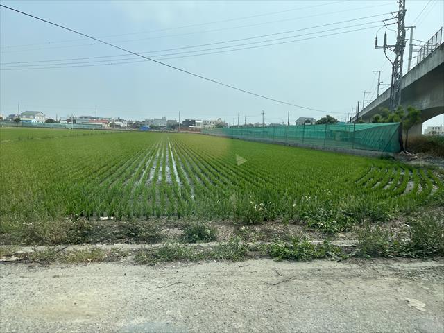 生產者圖片