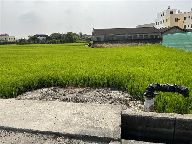 生產者圖片