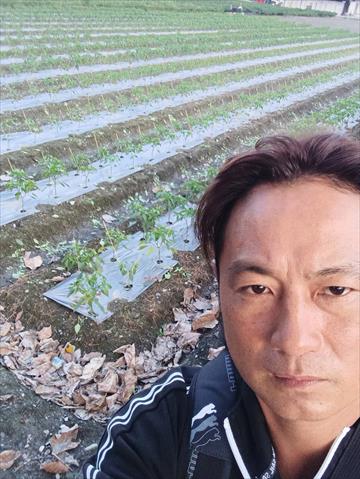 生產者圖片