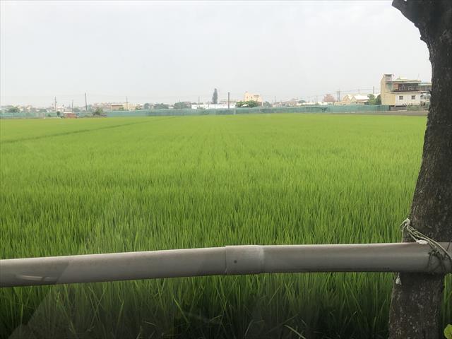 生產者圖片
