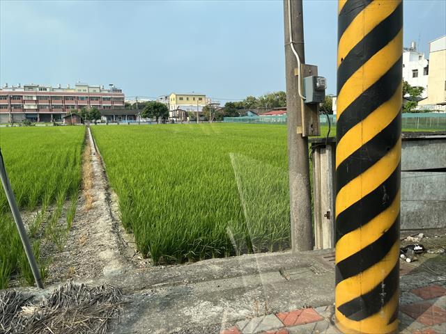 生產者圖片