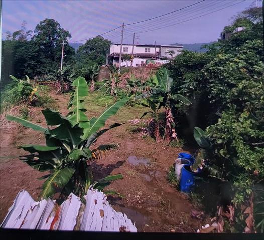 生產者圖片