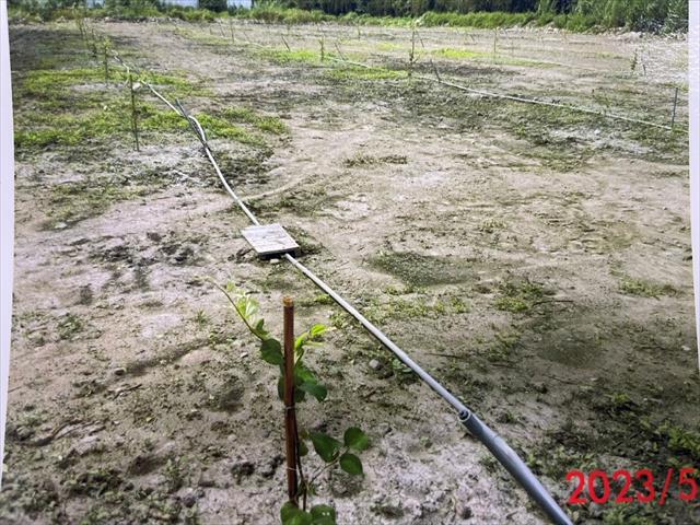 生產者圖片