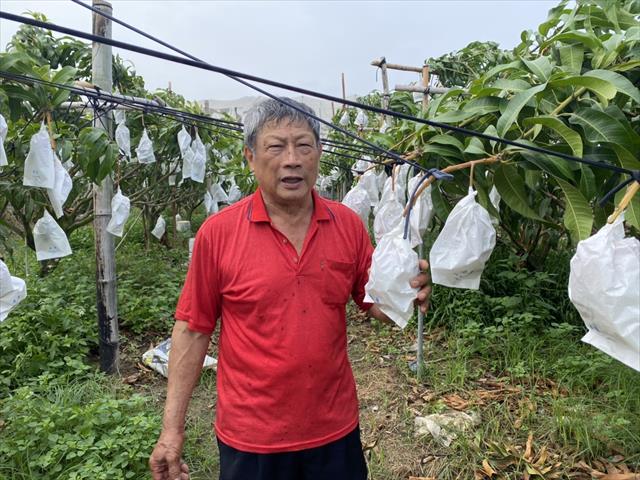 生產者圖片