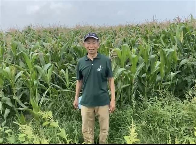 生產者圖片