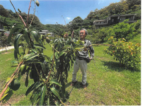 生產者圖片