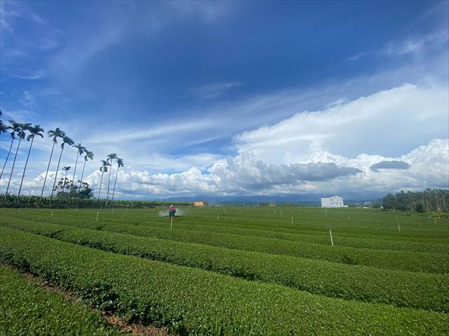 生產者圖片