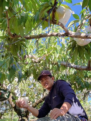 生產者圖片