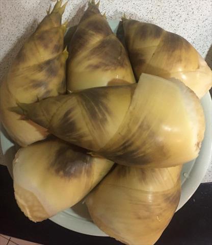 生產者圖片
