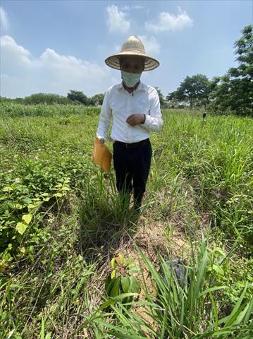 生產者圖片