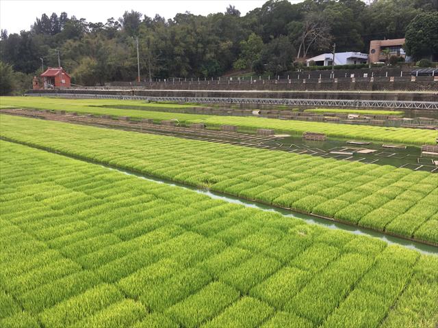 生產者圖片