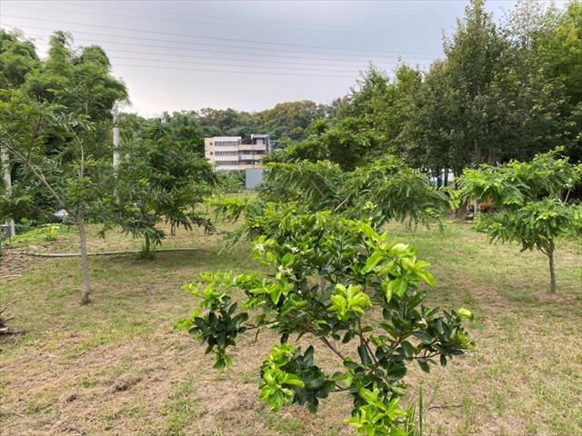 生產者圖片