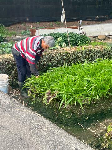 生產者圖片